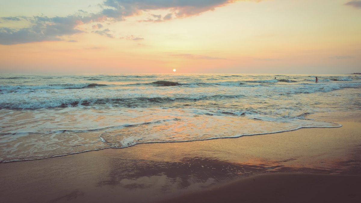 Thumbnail for Bushfire Season Home Preparation Checklist for Australian Homeowners