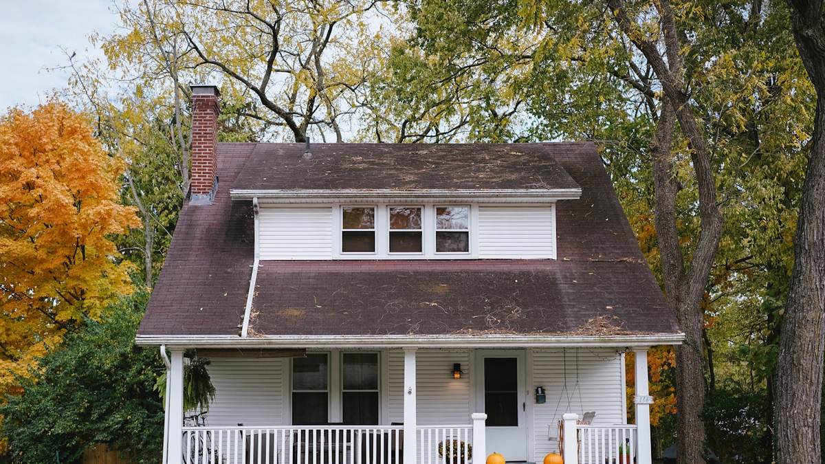 Thumbnail for How Much Does a Deck or Pergola Cost in Australia? Full 2025–2026 Price Guide