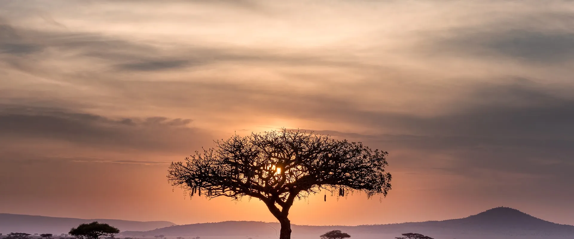 Tasmania skyline